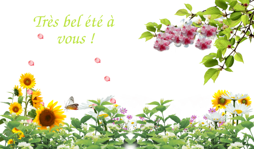 Cet été à la Communauté des chrétiens du Bas-Rhin