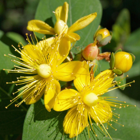Cette quinzaine à la Communauté des chrétiens du Bas-Rhin