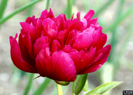 Cette quinzaine à la Communauté des chrétiens du Bas-Rhin